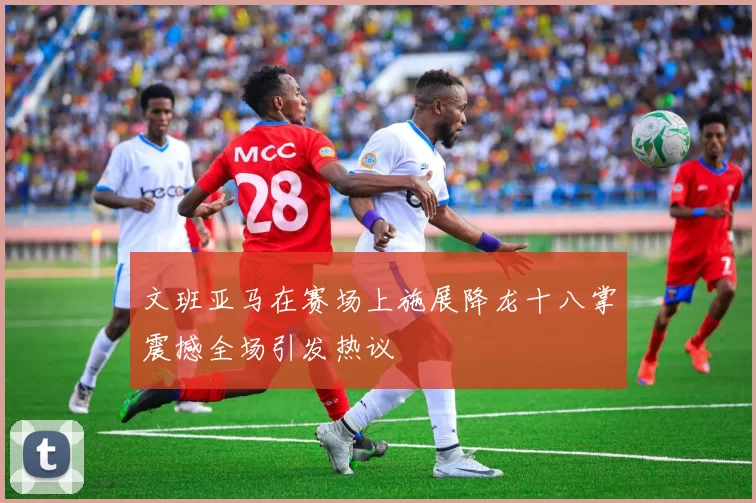 文班亚马在赛场上施展降龙十八掌震撼全场引发热议