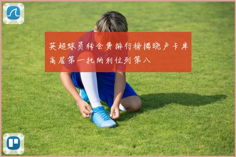 英超球员转会费排行榜揭晓卢卡库高居第一托纳利位列第八