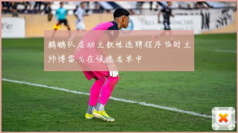 鹈鹕队启动主教练选聘程序临时主帅博雷戈在候选名单中